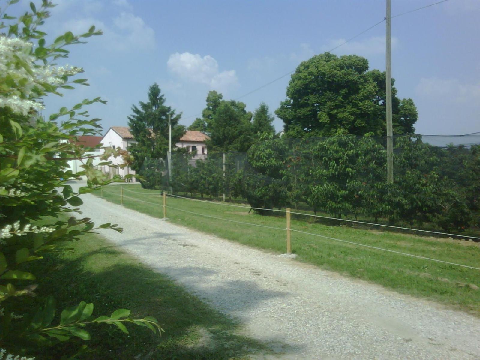 Agriturismo Alla Casella Ferrara Exterior foto